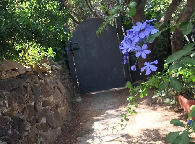 Vittoria With Large Private Heated Swimming Pool Complete With Jacuzzi For Exclusive Use , Sea And View, 150 Meters From The Beach, Pool Surface 60 Mq , 645 Sq Ft, Pool Depth 140 Cm ,55 Inches, Parking And Wifi Free